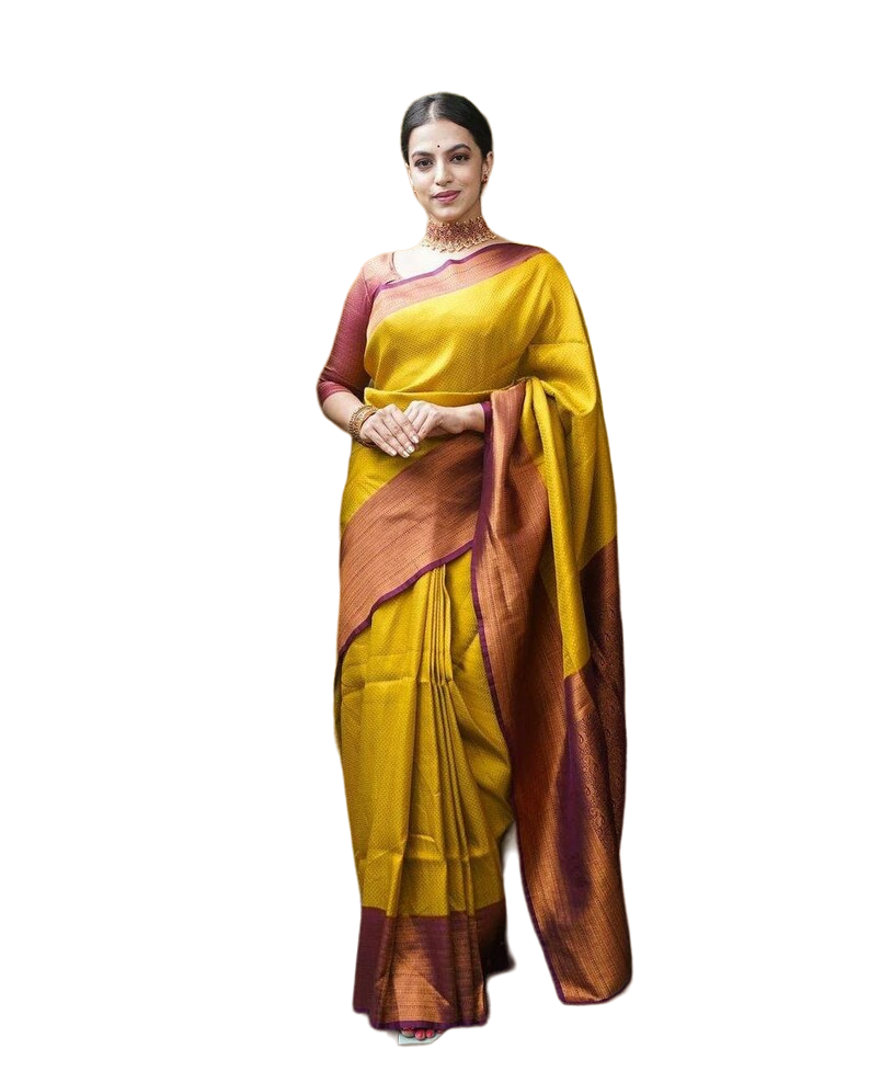 Banarasi Jacquard Saree With Blouse