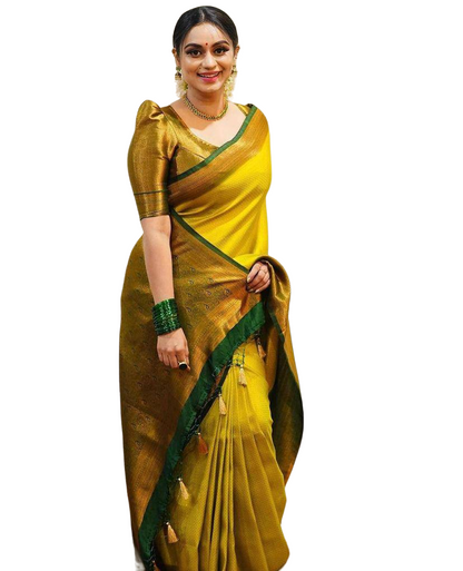 Banarasi Jacquard Saree With Blouse